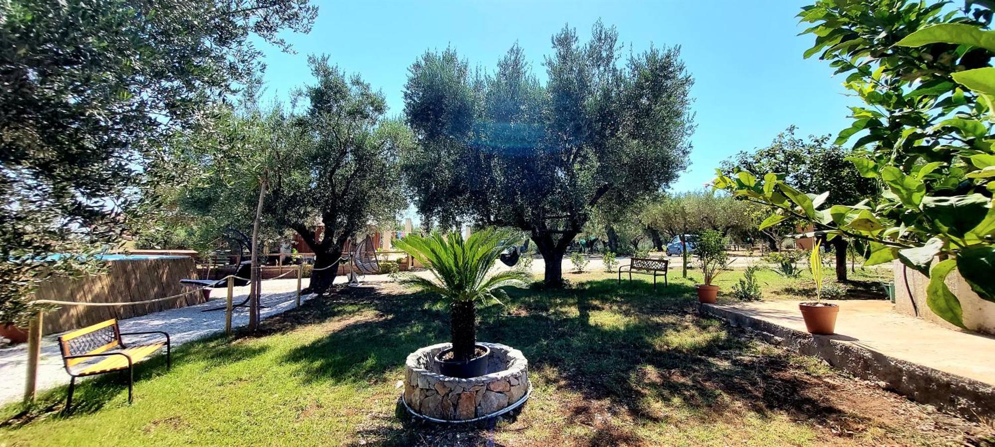 Parco Esmeralda - Family Residence E Breakfast Marina di Camerota Bagian luar foto